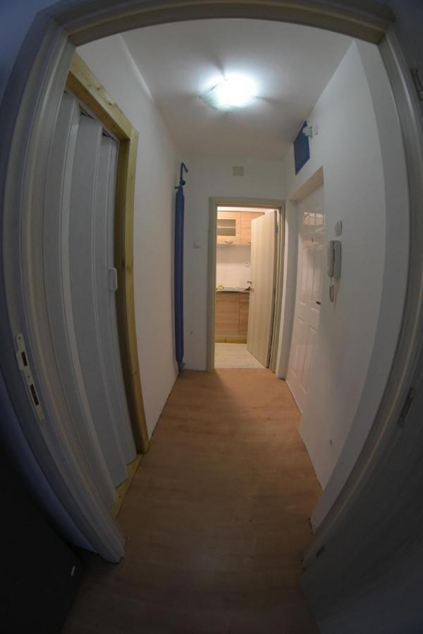 Apartment Dorcol Belgrad Zewnętrze zdjęcie